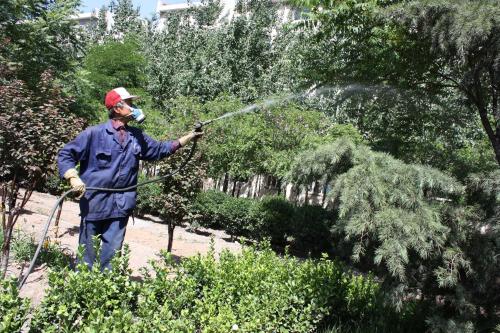 園林養(yǎng)護(hù)一